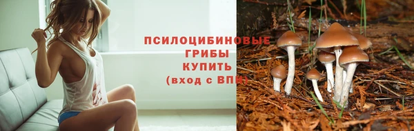 кокаин VHQ Бородино