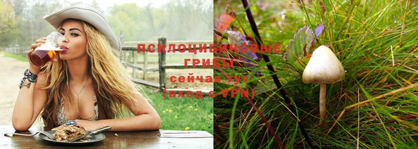 соль курить ск Богородицк